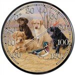 Chaney 01712 12.5" "Unlikely Friends" Wall Thermometer