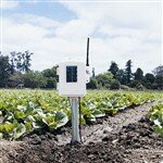 Davis Wireless Leaf & Soil Moisture/Temp Sub-Station Part #6345