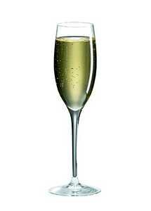 Ravenscroft Invisibles Vintage Cuvee Champagne, Set of 4 - IN-71
