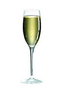 Ravenscroft Crystal Luxury Cuvee Champagne, Set of 4 - W6471