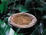 Whitehall Dragonfly Hanging Birdbath