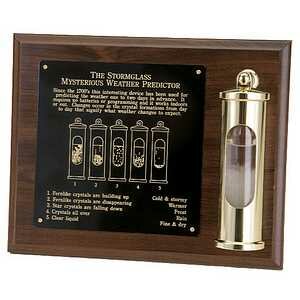 Weems & Plath 8" x 10" Engraved Brass Plate Mounting Plaque